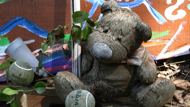 A fluffy toy inside the house. Picture: Stuart Milligan