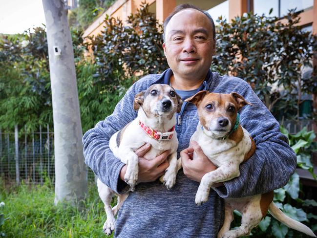 Glenn Tong with his Jack Russells Marco and Mia. Picture: Mark Stewart