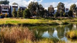 An image included in the draft Ingleside Place Strategy showing indicative medium density housing that may be built in the redevelopment precinct. Picture: Cox Architecture