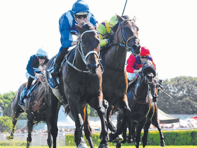 Winx proves too powerful in her comeback race, the Group 2 Apollo Stakes. Picture: Simon Bullard