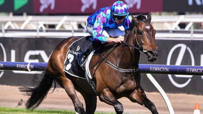 Pride Of Jenni wins the Kennedy Champions Mile at Flemington in 2023.Picture: Pat Scala/Racing Photos via Getty Images