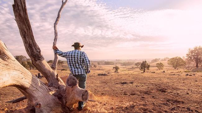 Australian farmers are urged to have a back-up plan to protect their supply chain as the coronavirus crisis continues.