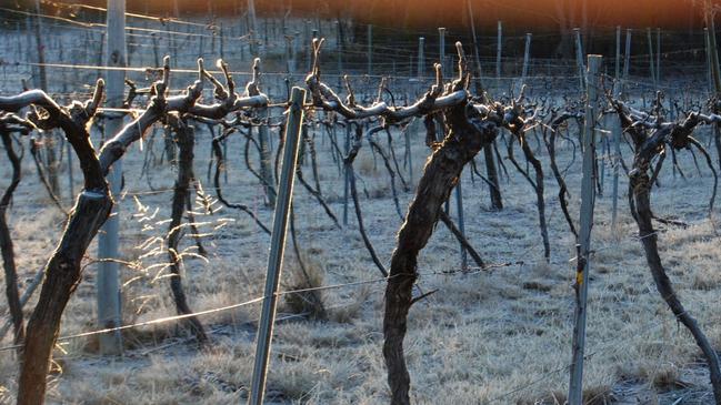 Drought, COVID and tourism were all contributing factors that drove the owners of Twisted Gum to temporarily close their popular cellar door. Picture: Twisted Gum