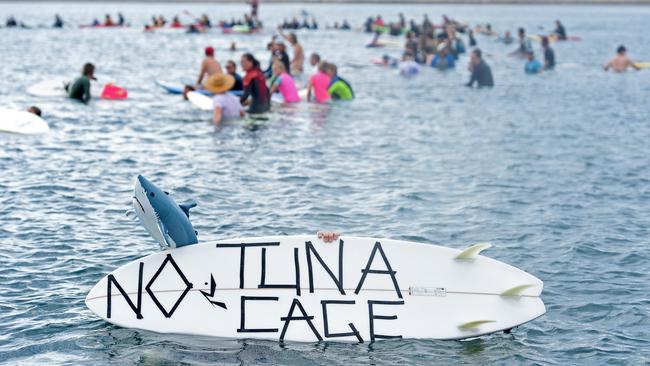 10/01/16 - Hundreds of people participated in a "paddle out" at Victor Harbor protesting against the recently approved Oceanic Victor project, which will have a tuna pen installed near Granite Island. Photo Tom Huntley