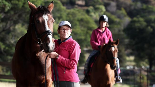 Fiona Fehlberg, with her horse Absolute, regularly travels with horses on the Spirit of Tasmania. Picture: LUKE BOWDEN