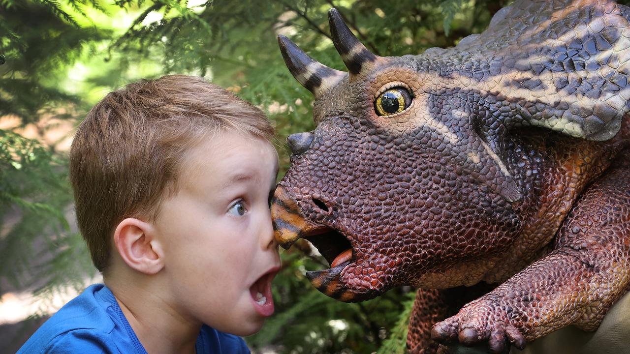 Kids like Sam, 4, who is pictured with a lifelike baby triceratops puppet, can use International Dinosaur Day to learn more about the creatures. Picture: David Caird