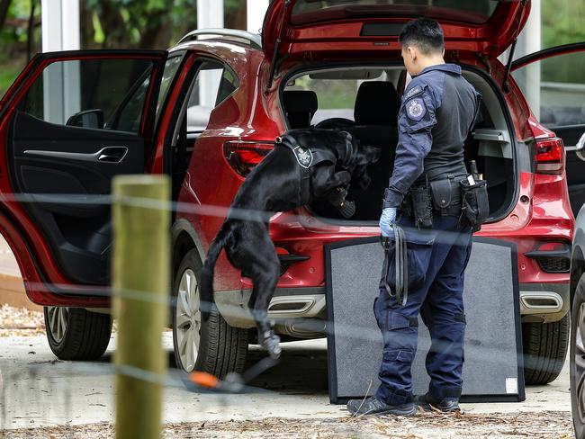 Investigators eventually ‘borrowed’ highly trained dogs from federal police to search for electronic objects in the South Gippsland mushroom case. Picture: Ian Currie