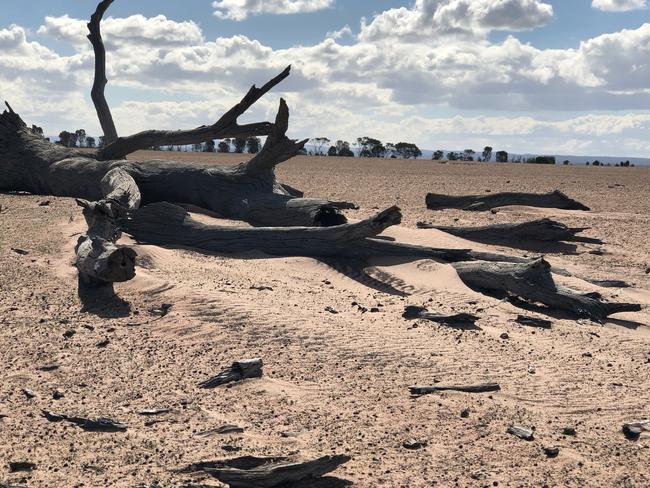 Giffard farmer Dan Boland's Boland Farm has turned into a moonscape after two years of drought. Picture: Dan Boland