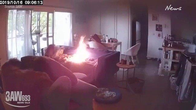 Dog sets house on fire