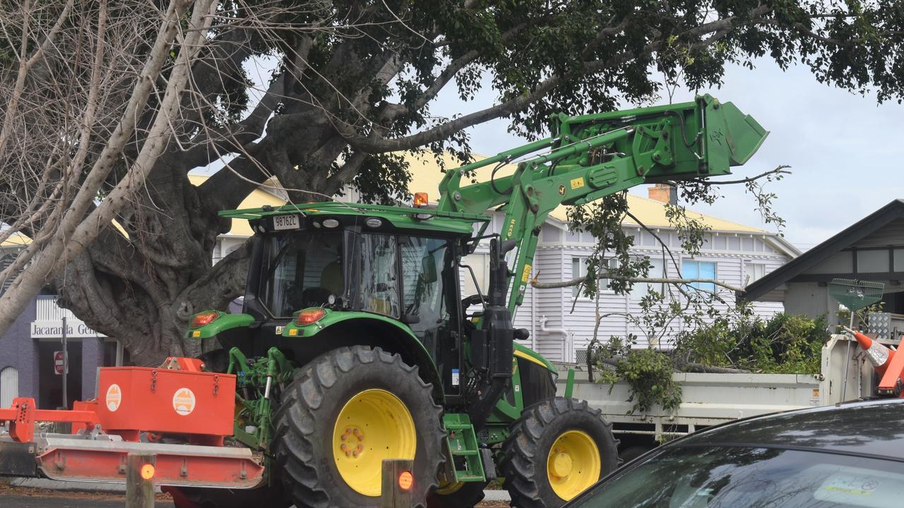 The fallen tree on Woongarra Street.