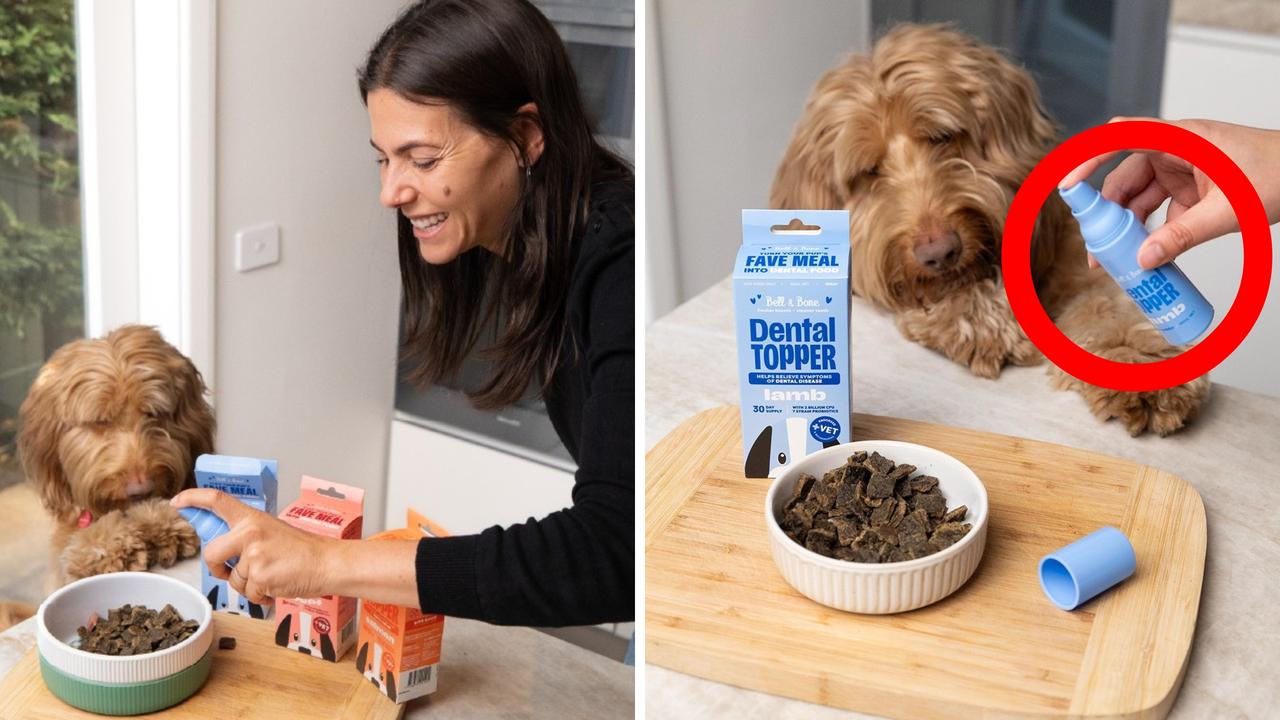 ‘Groundbreaking’: $40 solution to ‘killer’ pet disease
