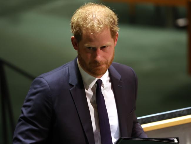 Prince Harry delivers a speech to the UN in New York. Picture: AFP