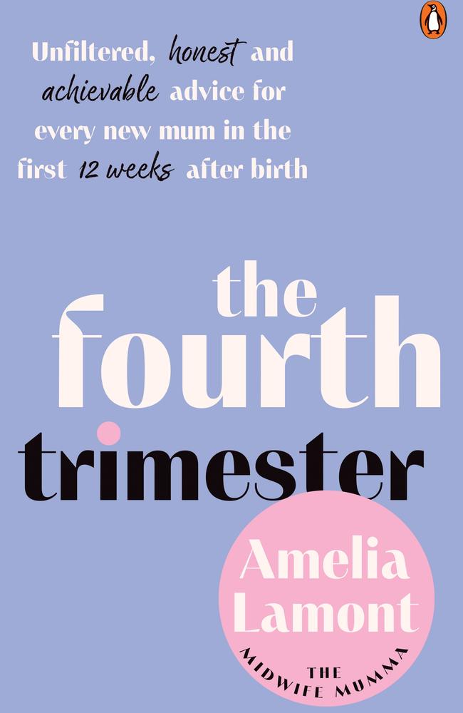 The Fourth Trimester by Amelia Lamont.