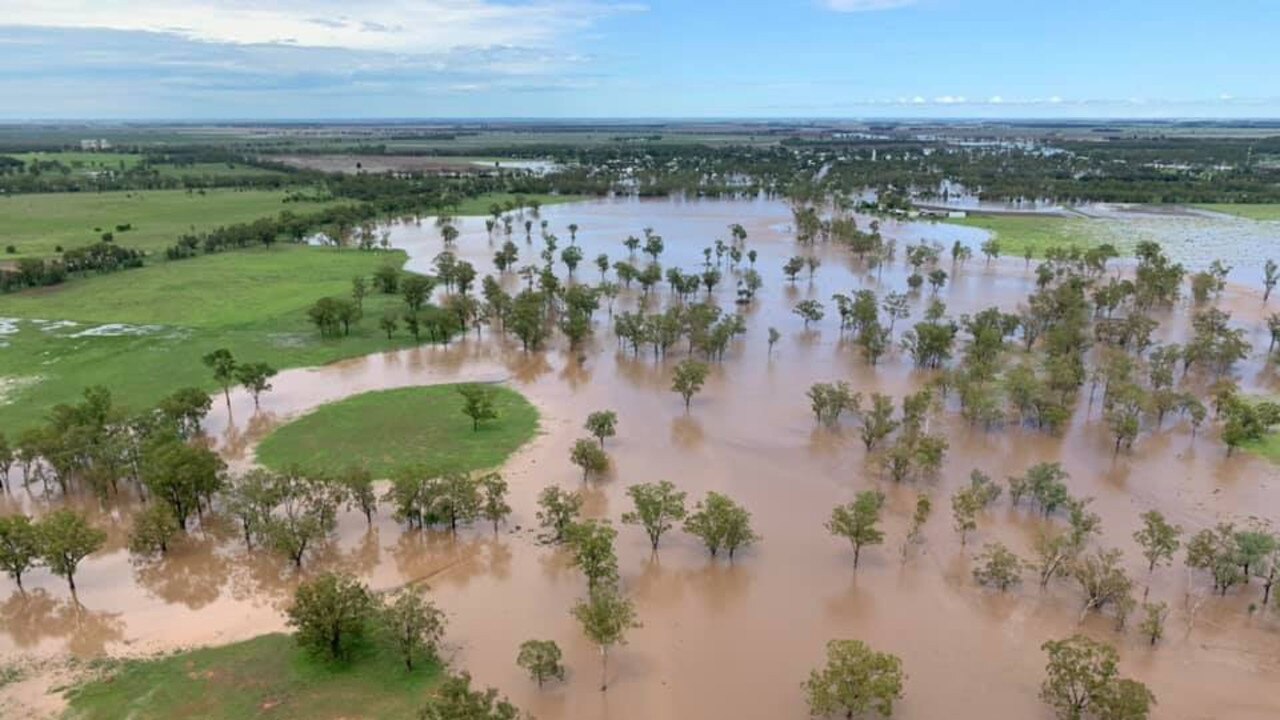 Growers fighting to save summer crops after big rain | The Weekly Times