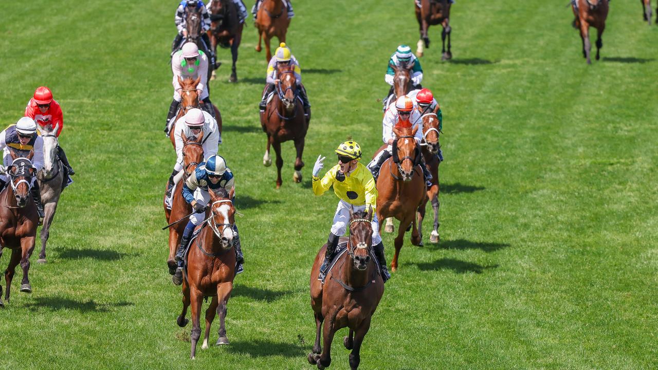 Melbourne Cup 2023 finishing order Every horse from first to last