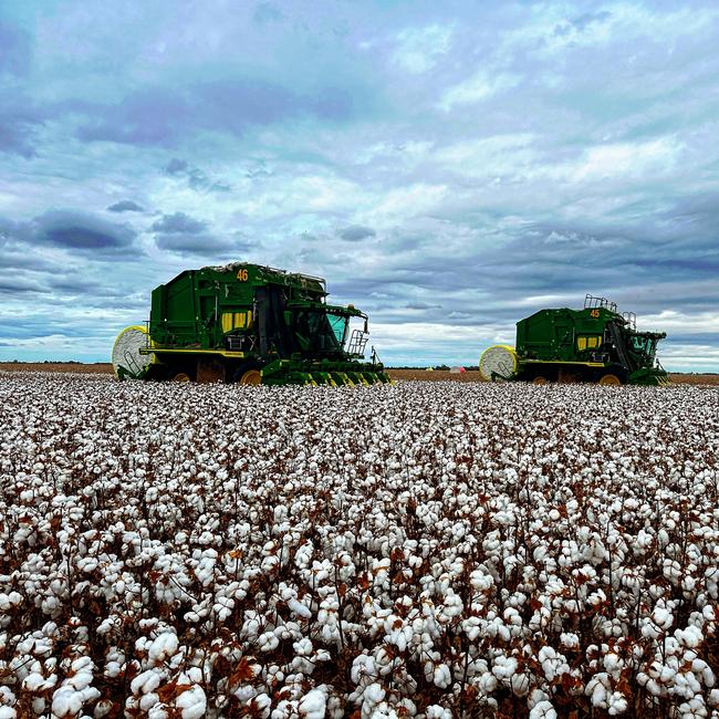 Cotton picking at the Briggs family property at Coleambally. Picture: Supplied