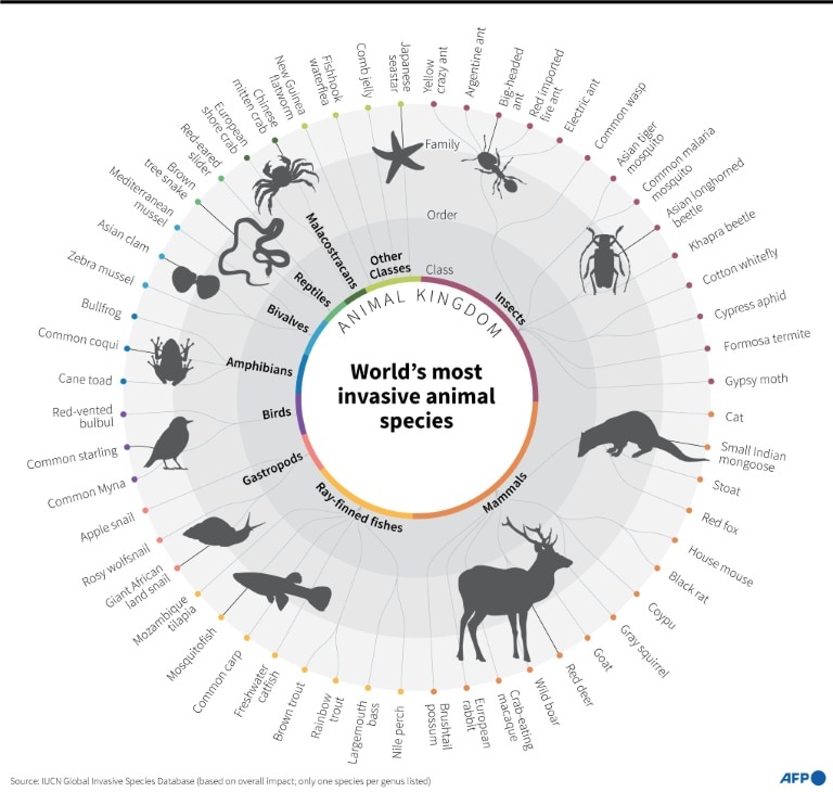 Invasive species a growing and costly threat, key report to find Biology Diagrams