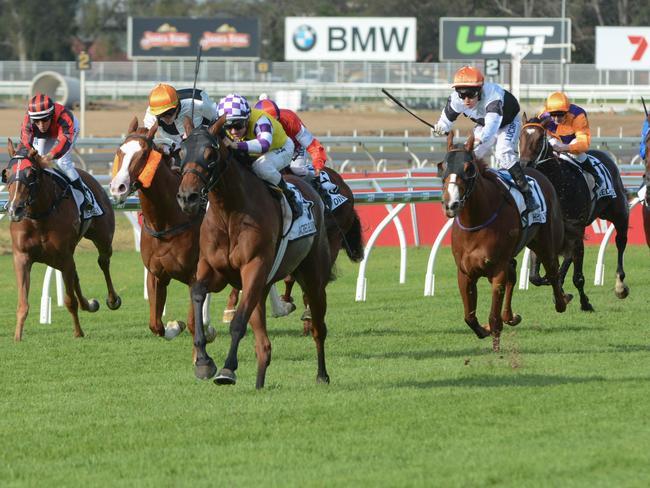 Pair of aces: Jockey Zac Purton gets his first Queensland Group 1 as Sacred Elixir (centre) races away from his rivals to win the J.J. Atkins. Picture: AAP