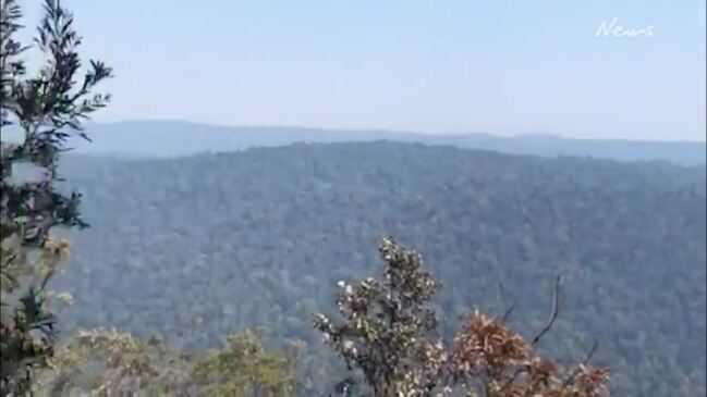 WALK THROUGH: Bushfires destroy Binna Burra Lodge