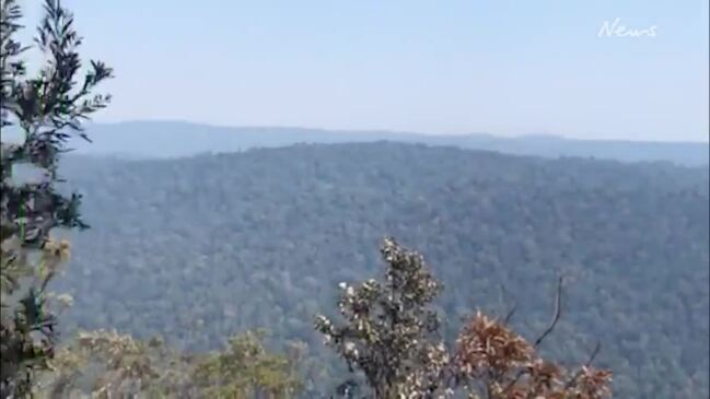 WALK THROUGH: Bushfires destroy Binna Burra Lodge