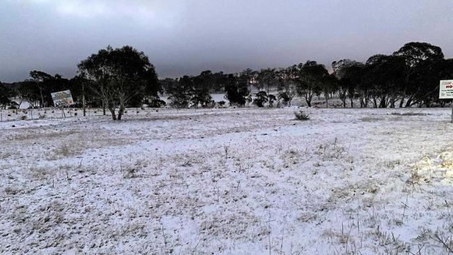 Outskirts of Ebor Village (alt. 1350m) on Monday morning. Residents and travellers were greeted by a winter wonderland up on the Tablelands over the weekend. Picture: Contributed