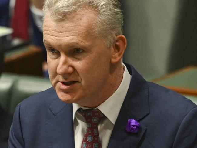 Employment Minister Tony Burke is sceptical of the NFF’s proposal to allow businesses to partially pay their employees with non monetary benefits. Picture: Martin Ollman / Getty Images