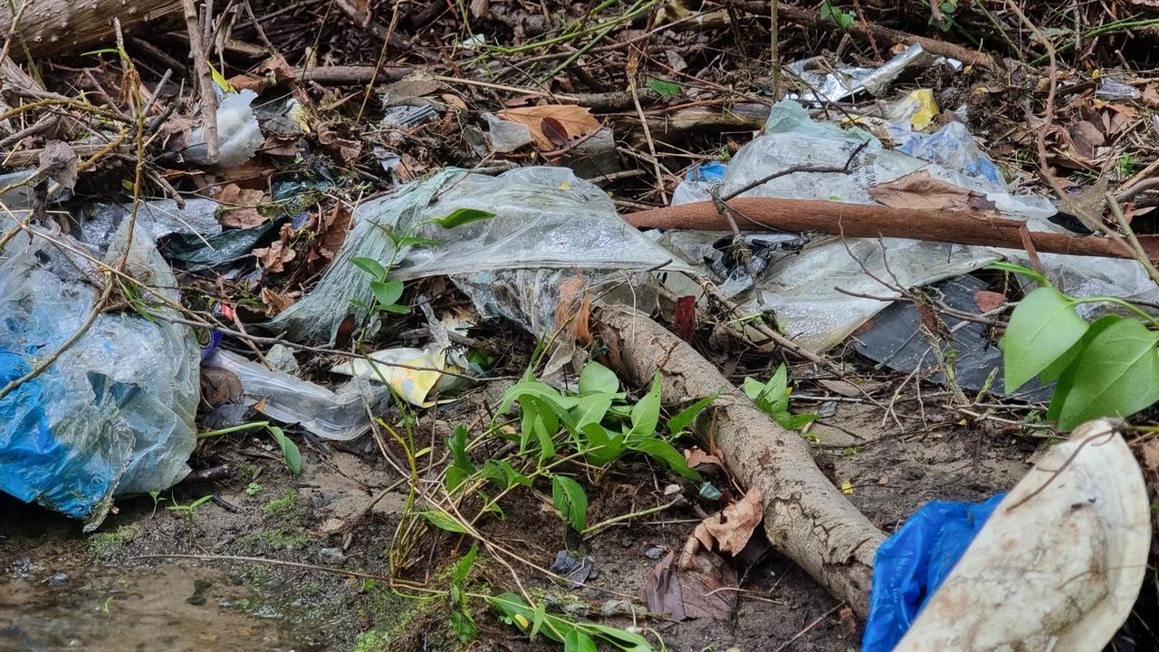 Rubbish has been dumped in the Hobart Rivulet where multiple platypuses have died because of litter. Photo: Hobart Rivulet Platypus/Pete Walsh