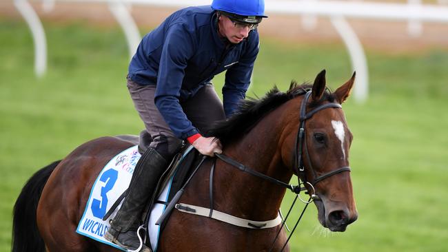 Caulfield Cup 2017: Wicklow Brave oldest horse in Caulfield Cup field ...