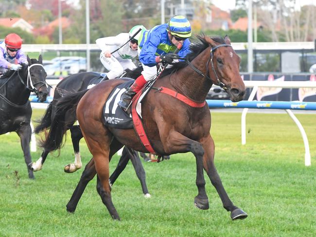 Shock 'Em Ova (NZ) ridden by Dean Yendall wins the Selangor Turf Club Handicap at Caulfield Racecourse on May 11, 2024 in Caulfield, Australia. (Photo by Brett Holburt/Racing Photos via Getty Images)