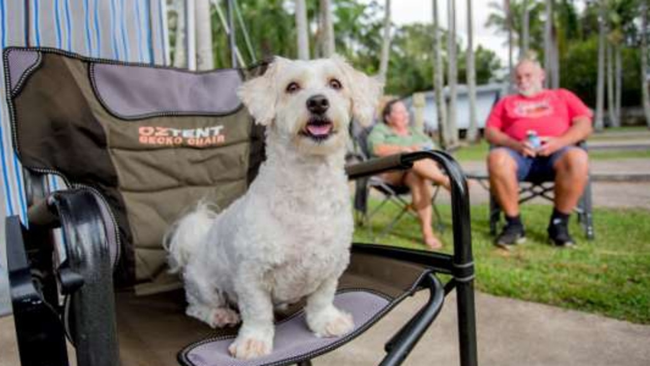 Being pet friendly has paid off for a Noosa holiday park.