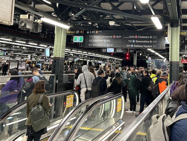 Peak hour trains are set to be thrown into chaos after a woman fell onto the tracks at Punchbowl Station.