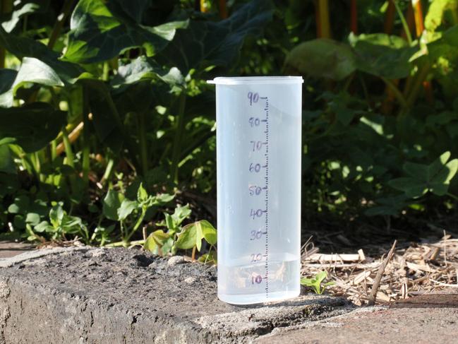 National Science Week - rain gauge. For Kids News and Hibernation