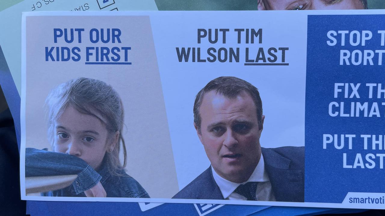 A smartvoting poster urging voters to put Liberal Party member Tim Wilson last when voting. Source: Supplied.