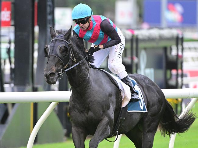 Vlad Duric powers to victory aboard Antino for trainer Tony Gollan in the Group 2 Victory Stakes at Eagle Farm. Picture: Grant Peters - Trackside Photography