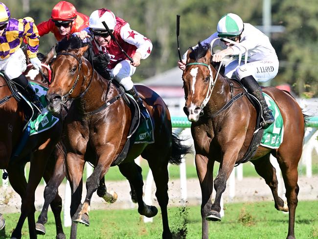 Apprentice jockey Jaden Lloyd wins the Sacred Elixir 2YO Handicap (1350m) on gelding Call Da Vinci at Ipswich on Wednesday, May 21, 2025. Picture: Grant Peters / Trackside Photography