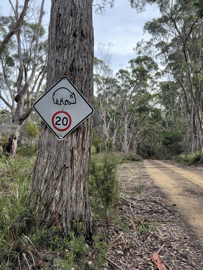 Native animals are a feature at The Cape House, near Dover. Picture: Philip Young