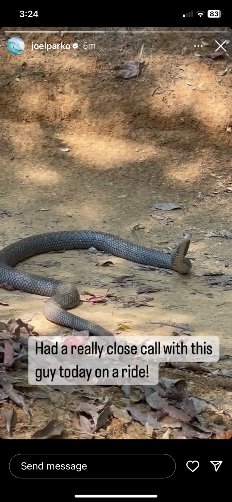 Surfing legend Joel Parkinson and Api Robin had a close encounter with a monster brown snake during a mountain bike ride on the Gold Coast. Picture: Supplied