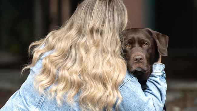 Lucy the court support dog comforts a survivor in Victoria. Picture: Nicki Connolly/news.com.au