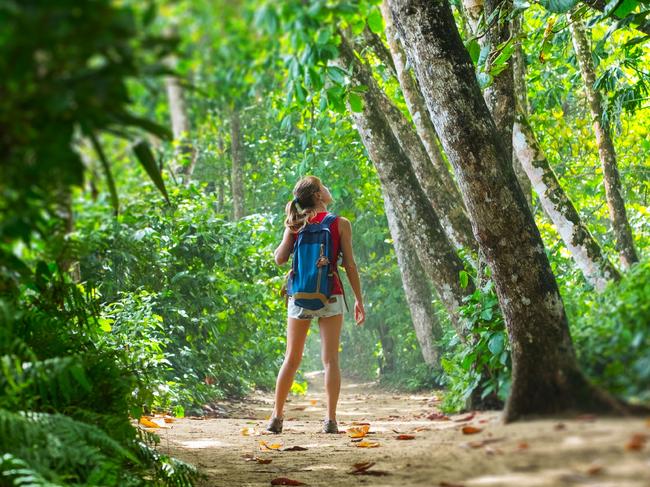 ESCAPE: User Generated Content SEPT9 -  Young woman hiker stands in the tropical lush forest and looks at the trees. Tilt shift effect applied on the edges . Picture: iStock