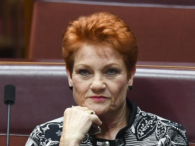 One Nation party leader Pauline Hanson reacts during debate in the Senate chamber at Parliament House in Canberra, Monday, October 15, 2018.  (AAP Image/Lukas Coch) NO ARCHIVING