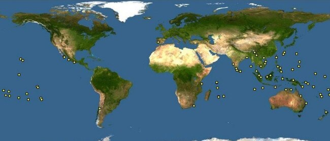 Global distribution of Yellow Crazy Ants. Australia’s infestation was believed to have originated from Christmas Island. Picture: Global Biodiversity Information Facility.