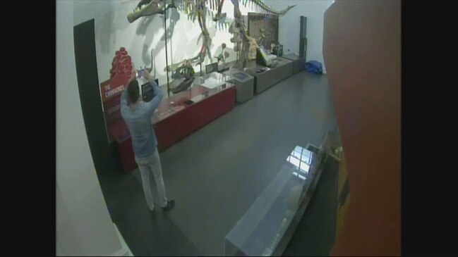 Man Breaks Into Australian Museum And Takes Selfies Inside Dinosaurs