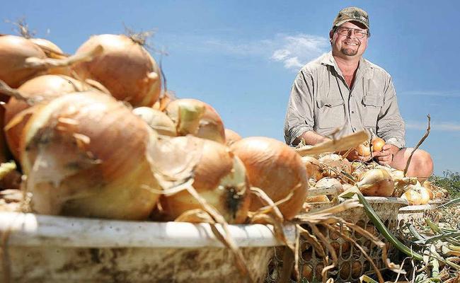 Kalfresh managing director Robert Hinrichsen with the Queensland onion which is getting a plug in a national advertising campaign encouraging people to buy local produce. . Picture: Rob Williams