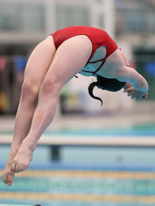 Isabelle Goddard in diving action. Picture: Supplied