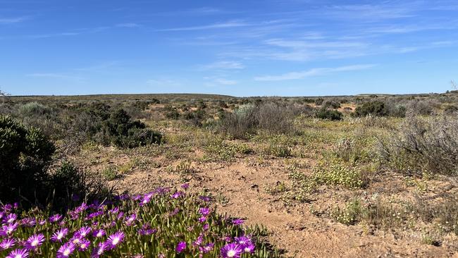 Far west NSW is rich in mineral sands, valuable for their use in batteries and solar panels. Photo: Else Kennedy