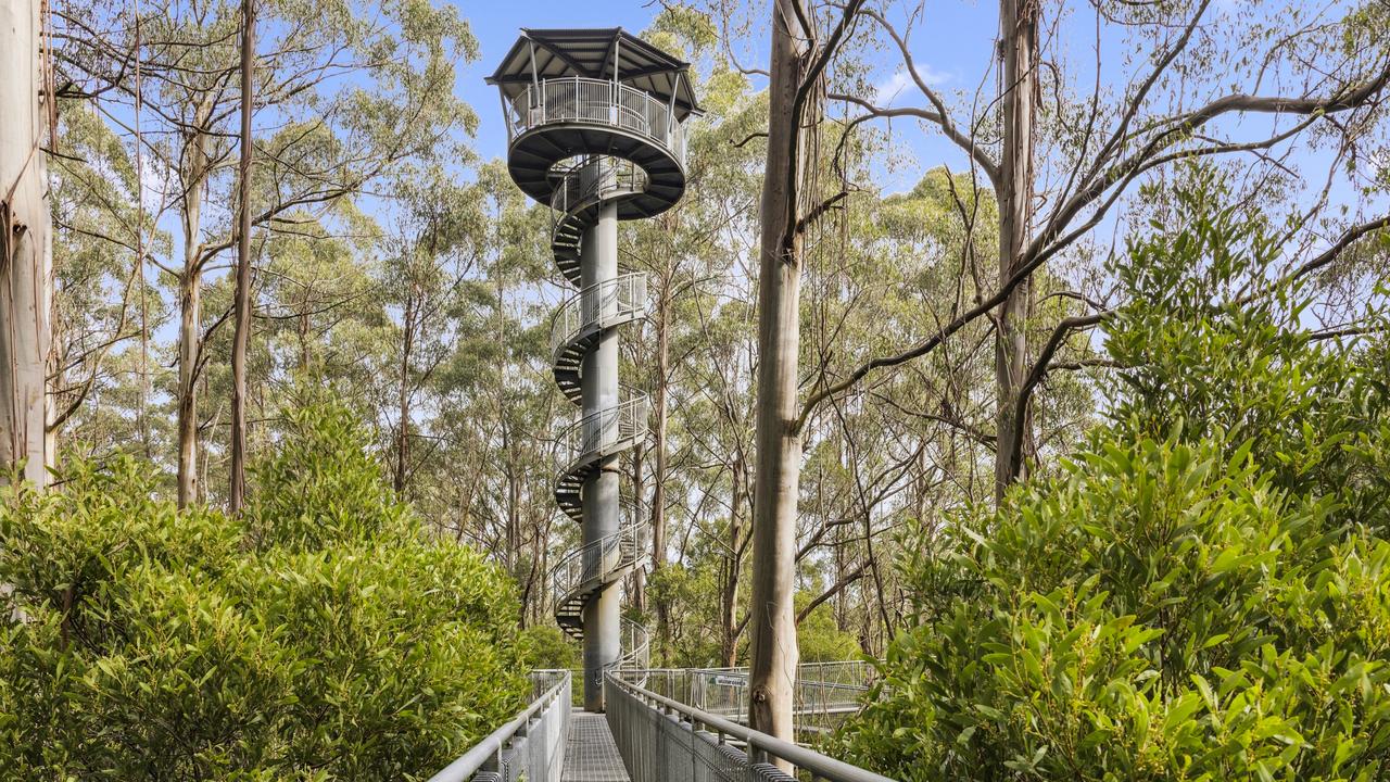 The Otway Fly tourist attraction site is for sale with vacant possession or as a going concern.