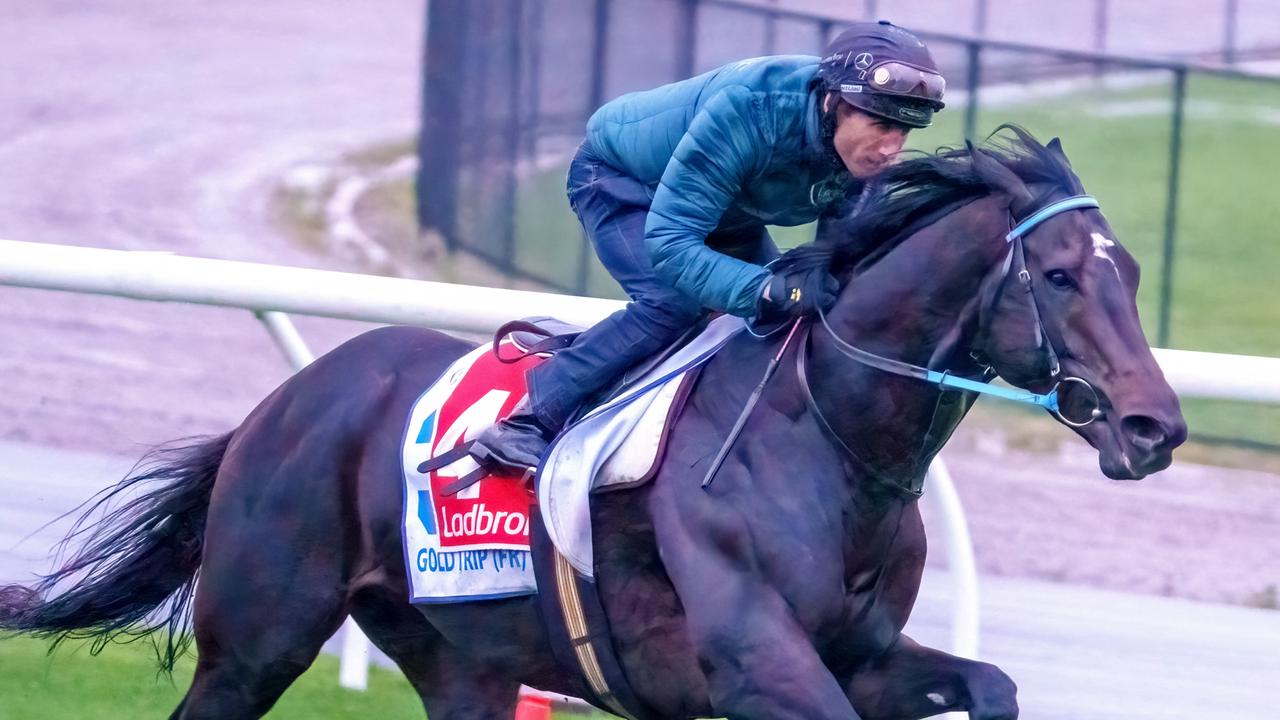 Moonee Valley trackwork