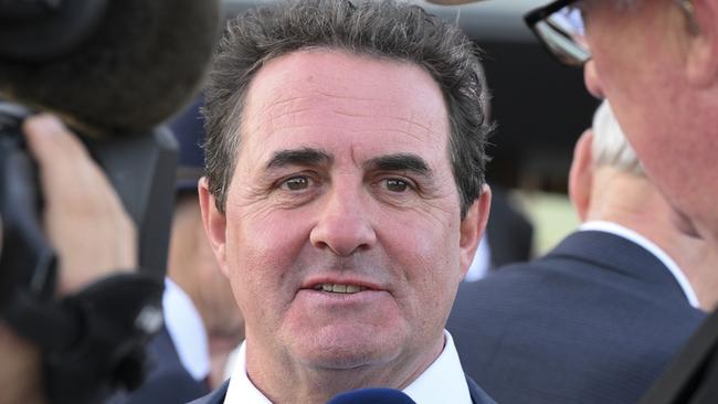 Wings Of Desire's trainer Michael Freedman. Picture: Bradley Photos