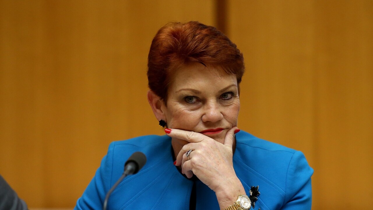 Pauline Hanson says 'wrong messages' are getting through in lead-up to election