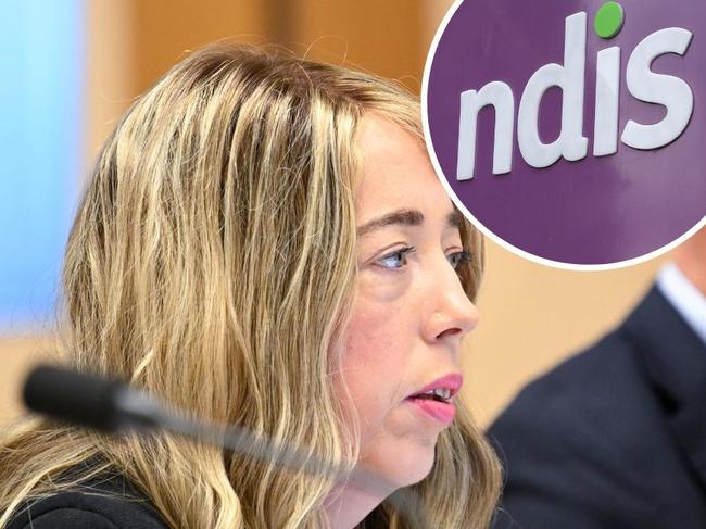 Concerns raised over crims, sex offenders on NDIS